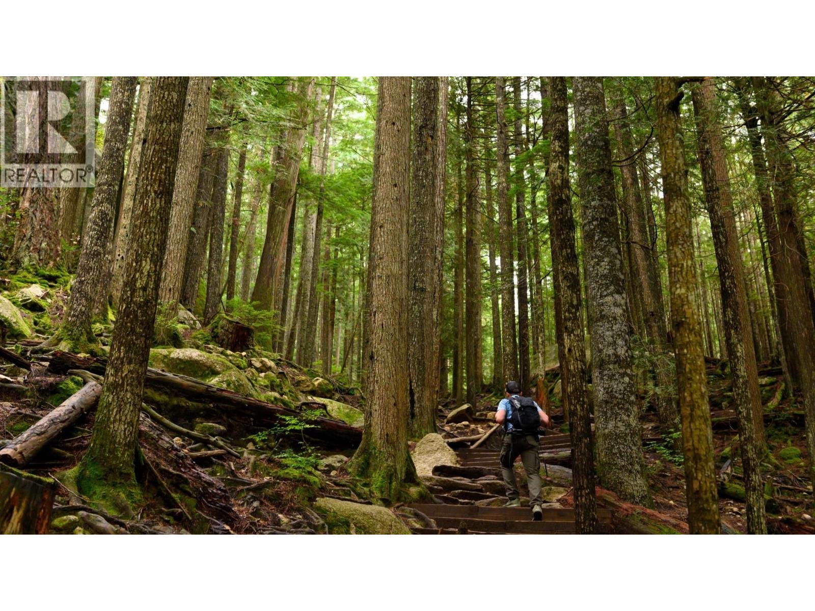 4731 Sea To Sky Highway, Squamish, British Columbia  V0V 0V0 - Photo 12 - R3092458