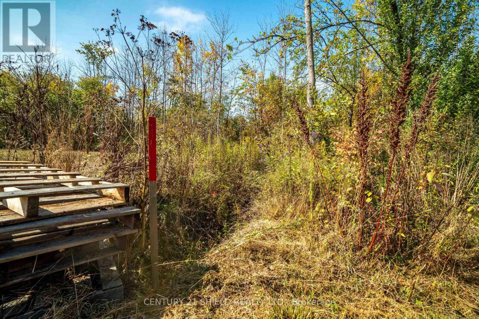 15618 Dixon Road, South Stormont, Ontario  K0C 1R0 - Photo 16 - X12813420