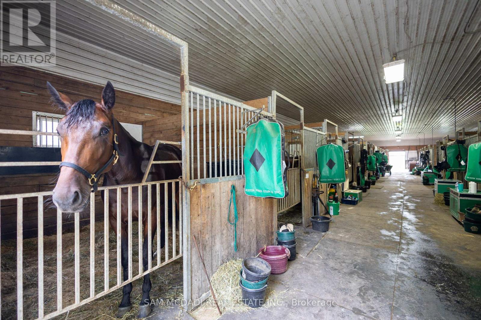 1046 Concession 6 Road W, Hamilton, Ontario  L0R 1V0 - Photo 29 - X12813516