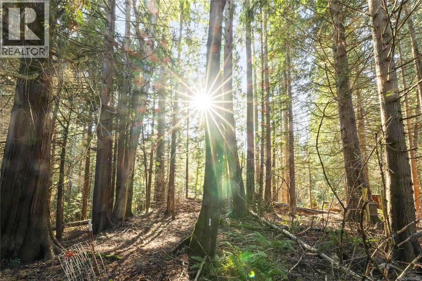 1502 Memory Lane, Qualicum Beach, British Columbia V9K 2A9 - Photo 21 - 1024806