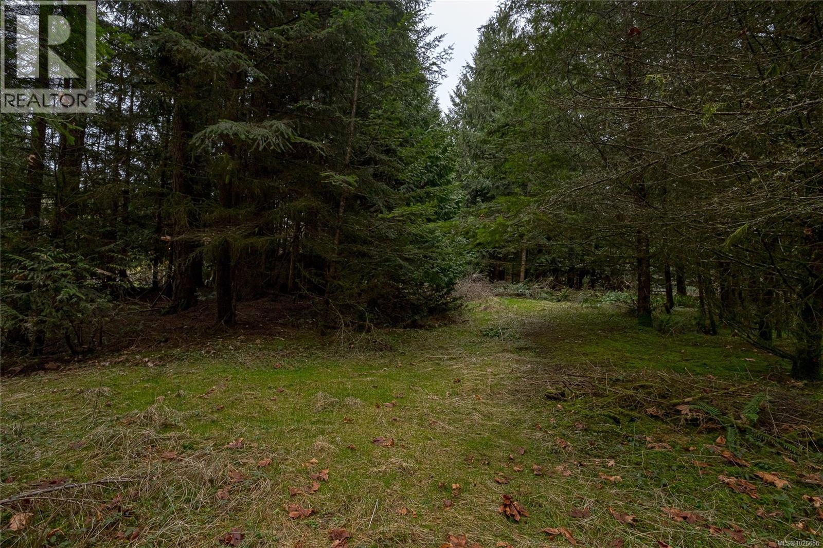 3723 Bayne Dr, Cobble Hill, British Columbia V0R 1L5 - Photo 38 - 1026656