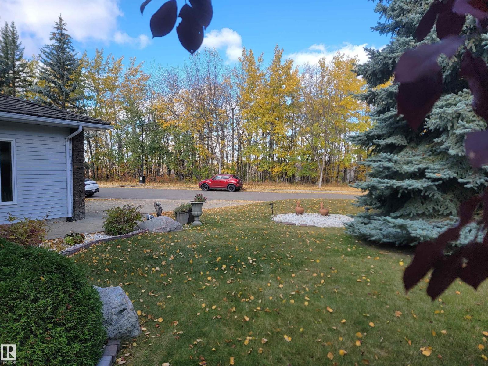 470 Rooney Cr Nw, Edmonton, Alberta  T6R 1C8 - Photo 74 - E4474220