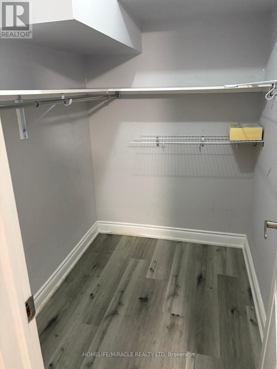 Bsmt Unit - 17 Divers Road, Brampton, Ontario  L7A 5C8 - Photo 5 - W12813548