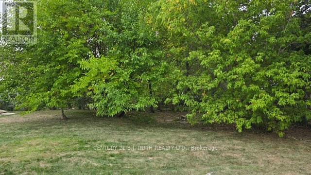 121 Cumberland Street, Barrie, Ontario  L4N 2P8 - Photo 29 - S12813622
