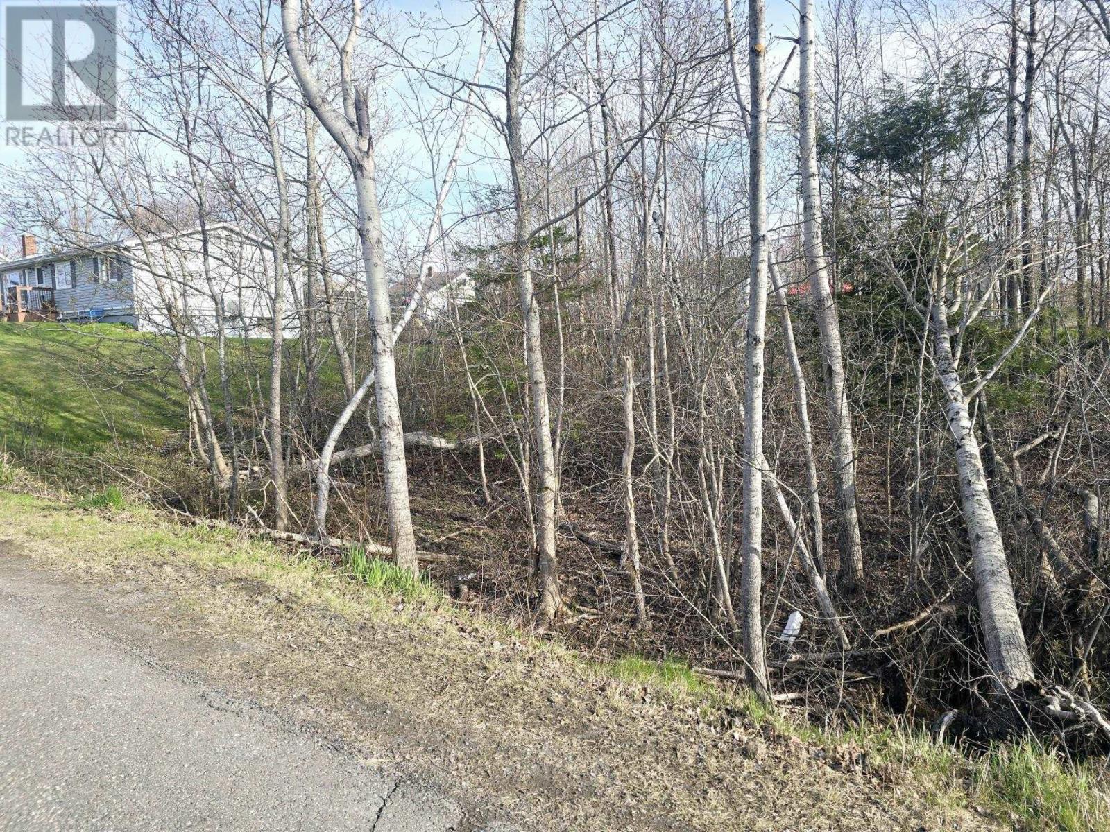 Lot Belmont Avenue, Stellarton, Nova Scotia  B0K 1S0 - Photo 2 - 202603272
