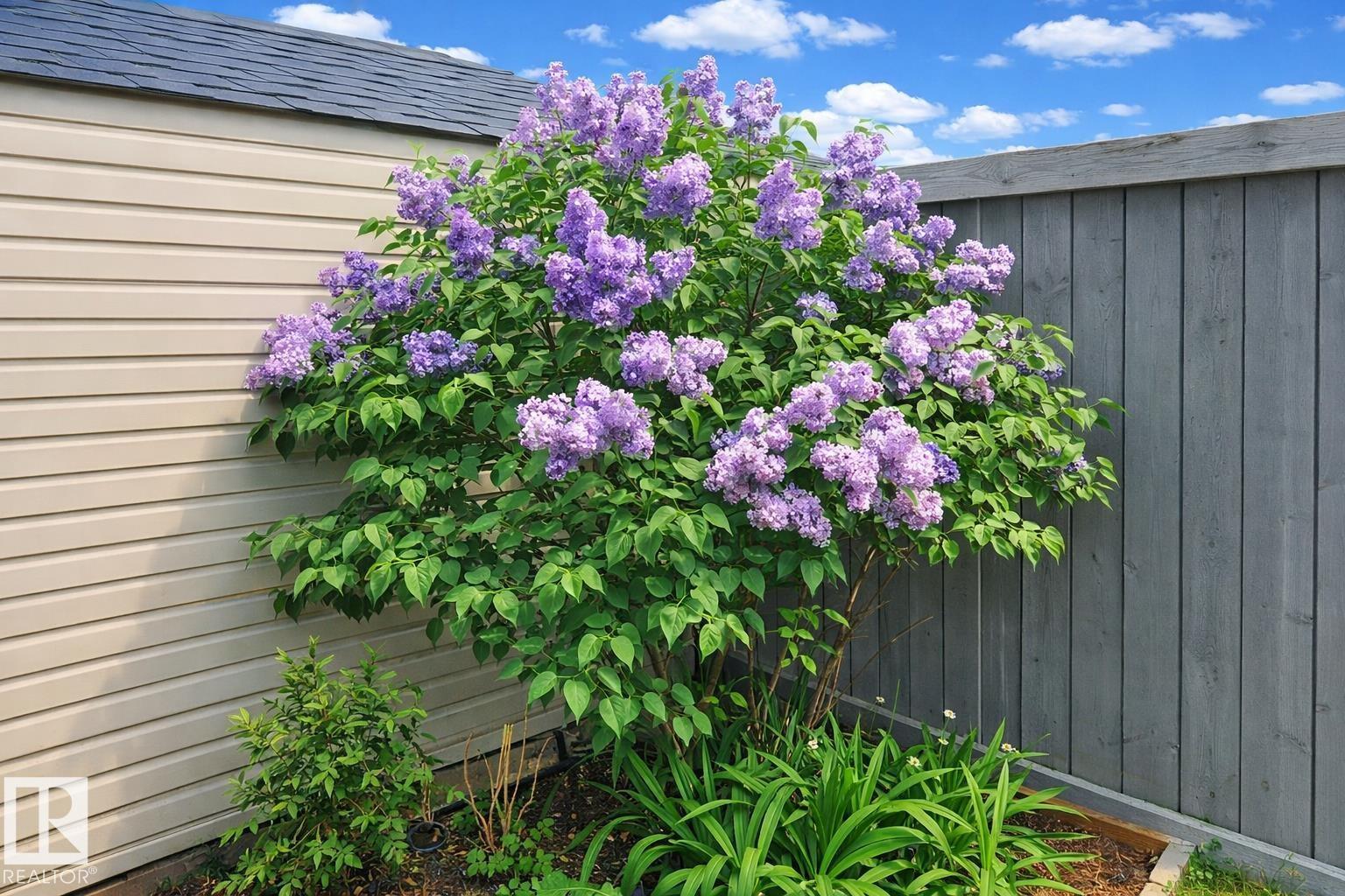 7548 Speaker Wy Nw, Edmonton, Alberta  T6R 0P1 - Photo 24 - E4474257