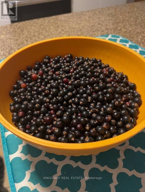 242 Doon Mills Drive, Kitchener, Ontario  N2P 2R8 - Photo 44 - X12813672