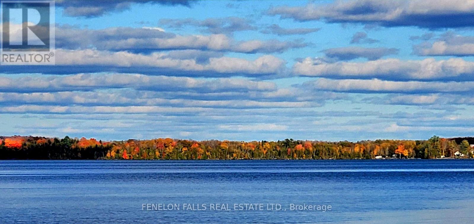 168 Lakebreeze Road, Kawartha Lakes, Ontario  K0M 1N0 - Photo 14 - X12813740