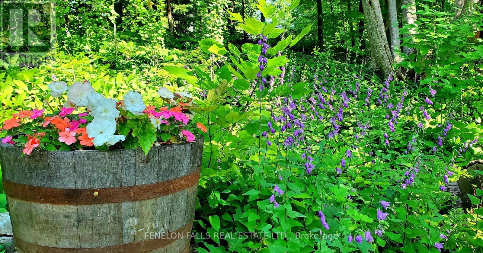 168 Lakebreeze Road, Kawartha Lakes, Ontario  K0M 1N0 - Photo 15 - X12813740