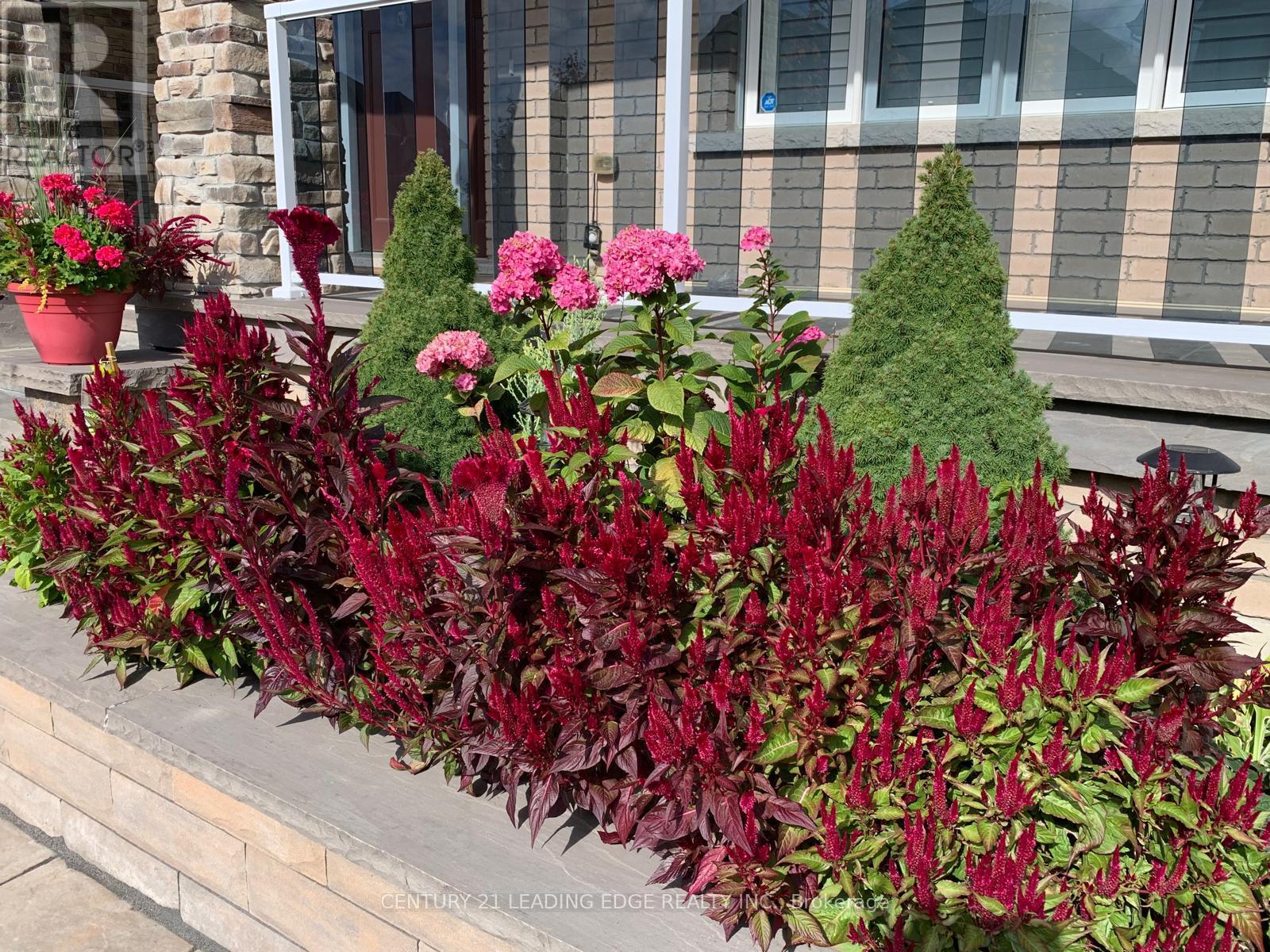 66 Degraaf Crescent, Aurora, Ontario  L4G 0X3 - Photo 48 - N12812080