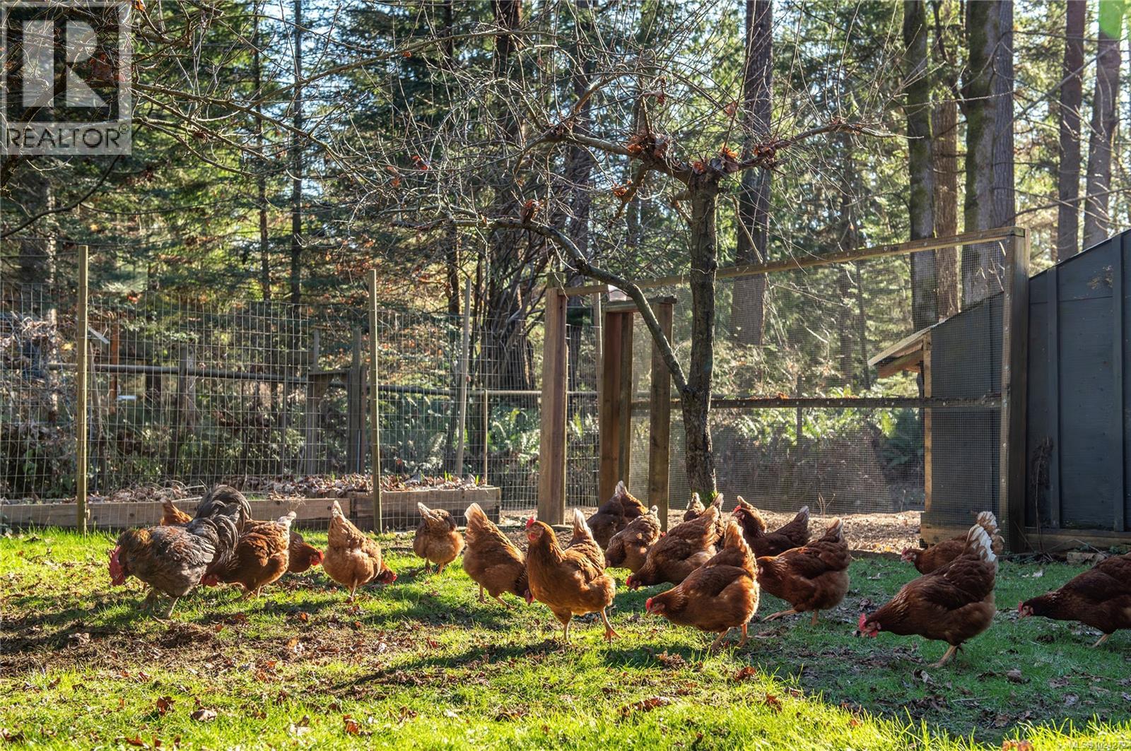 2404 Glenmore Rd, Campbell River, British Columbia  V9H 1C9 - Photo 41 - 1024272