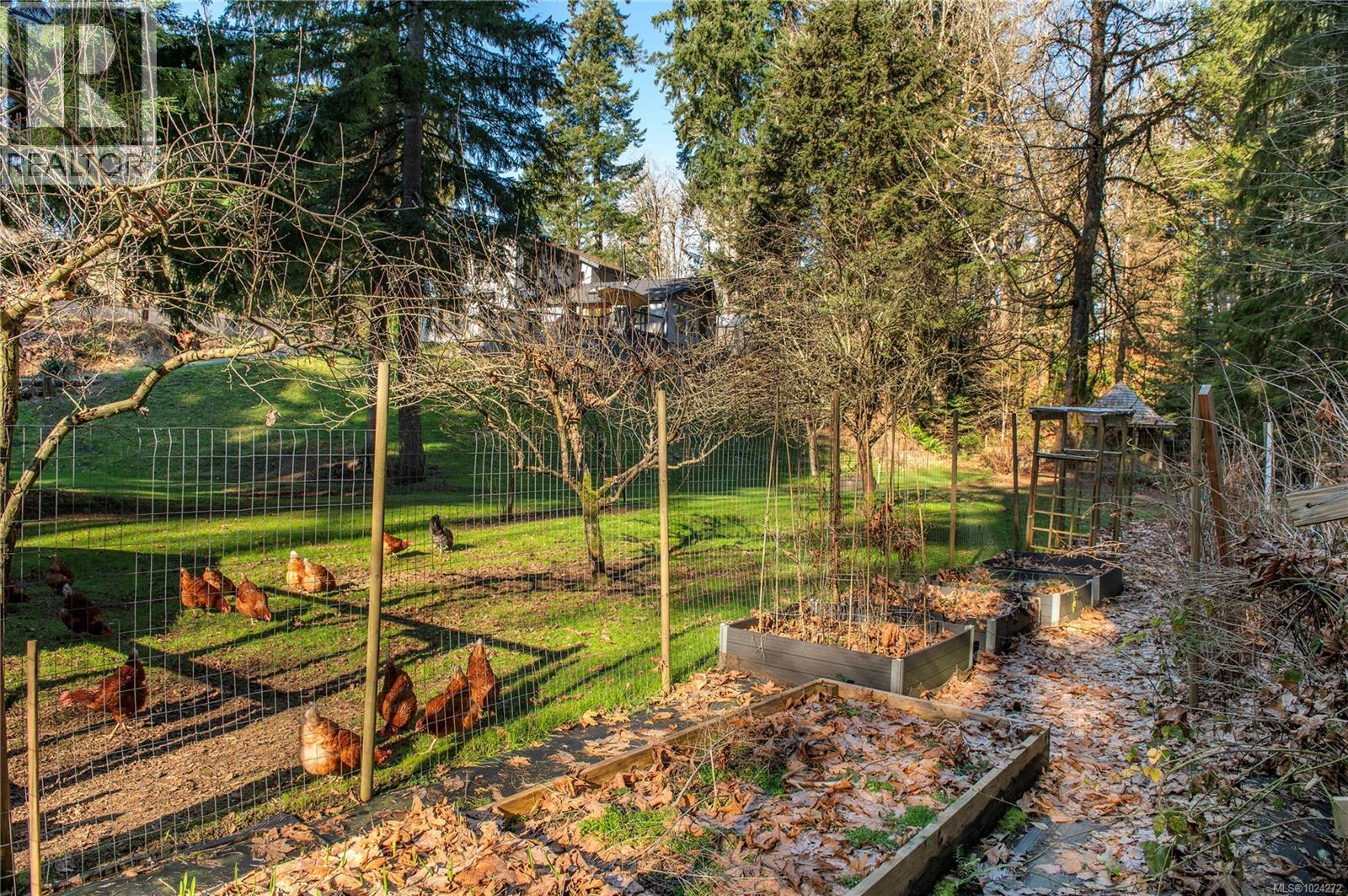 2404 Glenmore Rd, Campbell River, British Columbia  V9H 1C9 - Photo 40 - 1024272