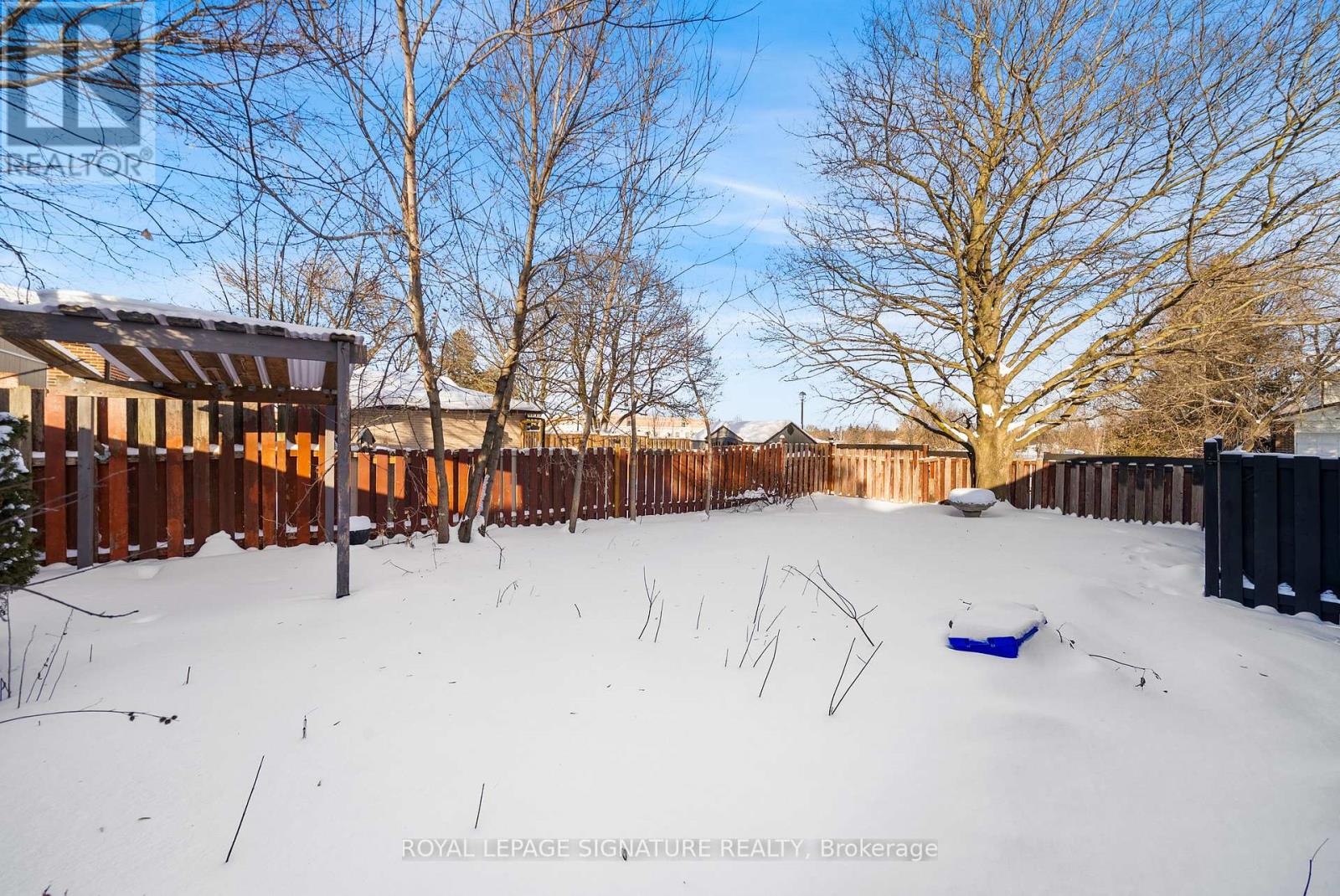 246 Hodgson Drive, Newmarket (Central Newmarket), Ontario  L3Y 1E2 - Photo 41 - N12813812