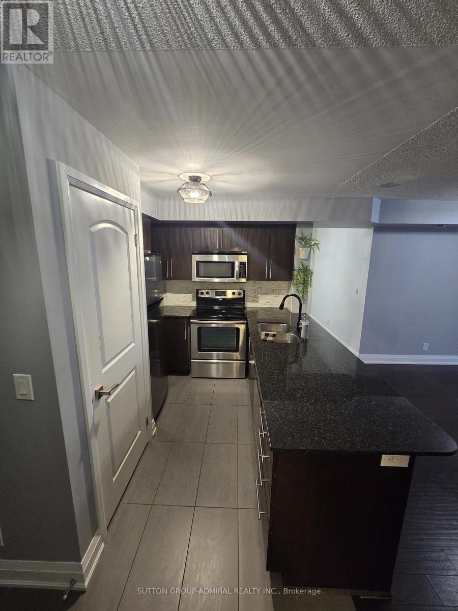 202 - 1060 Sheppard Avenue W, Toronto, Ontario  M3J 0G7 - Photo 6 - W12813838