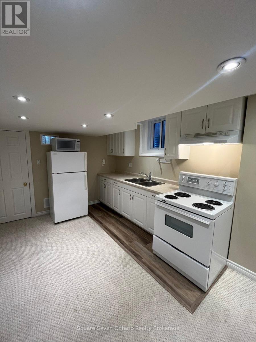 Lower Level - 3415 Forrestdale Circle, Mississauga, Ontario  L5N 6V2 - Photo 2 - W12813870