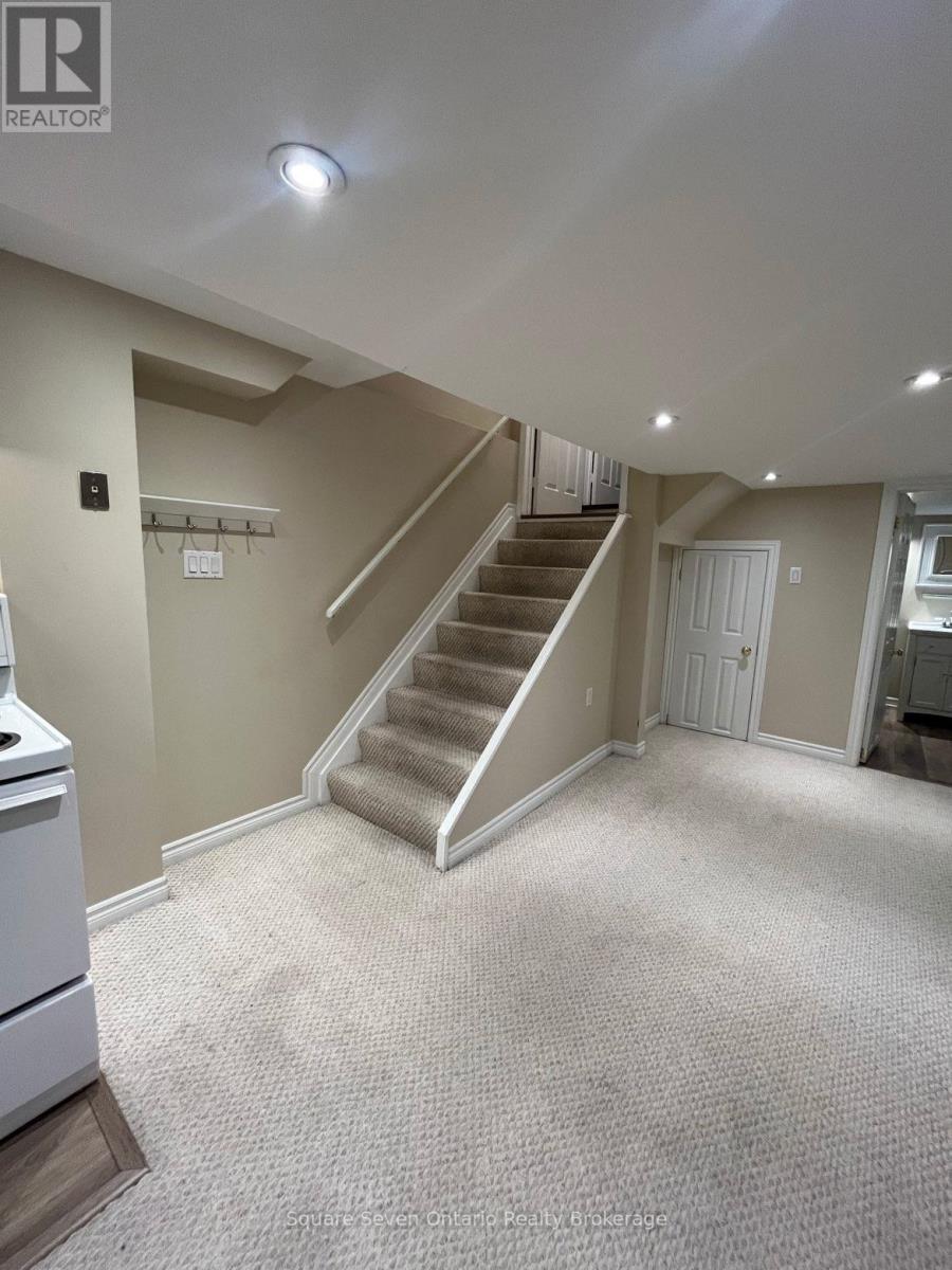 Lower Level - 3415 Forrestdale Circle, Mississauga, Ontario  L5N 6V2 - Photo 6 - W12813870