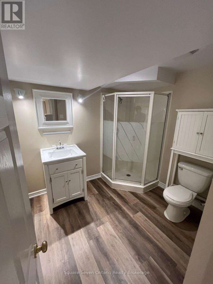 Lower Level - 3415 Forrestdale Circle, Mississauga, Ontario  L5N 6V2 - Photo 7 - W12813870