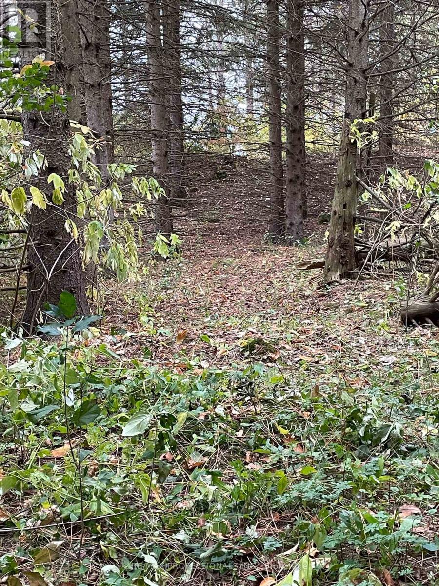 14070 Dublin Line, Halton Hills, Ontario  L7J 2L9 - Photo 21 - W12813896