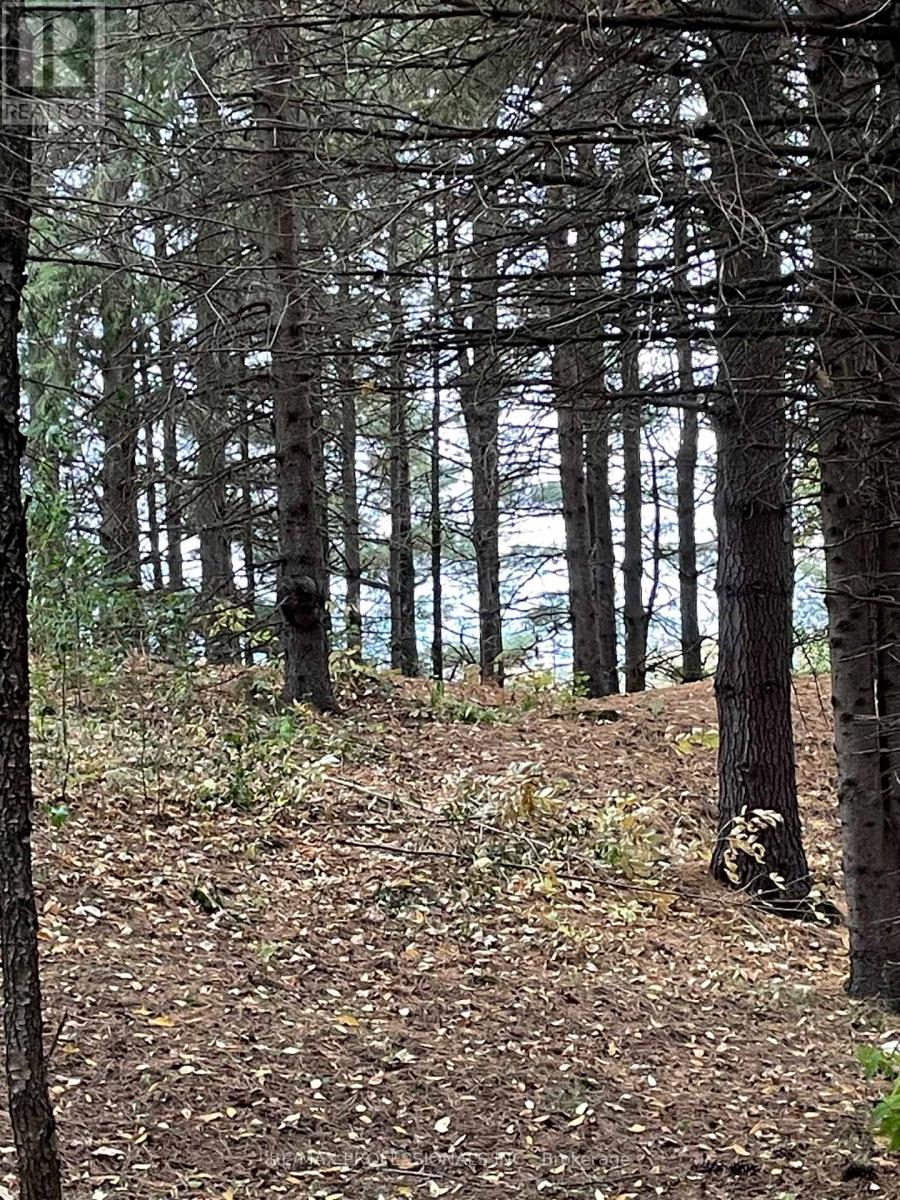 14070 Dublin Line, Halton Hills, Ontario  L7J 2L9 - Photo 22 - W12813896