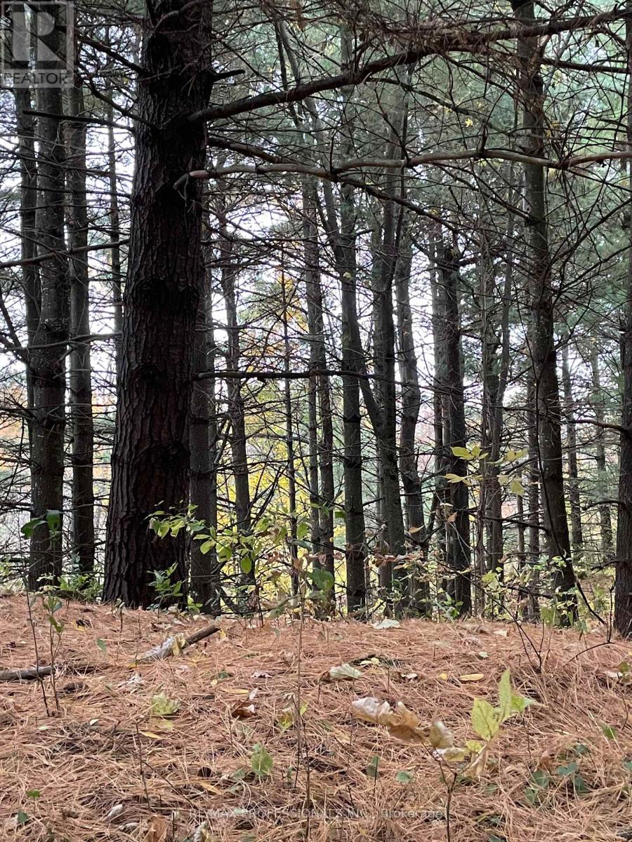 14070 Dublin Line, Halton Hills, Ontario  L7J 2L9 - Photo 23 - W12813896