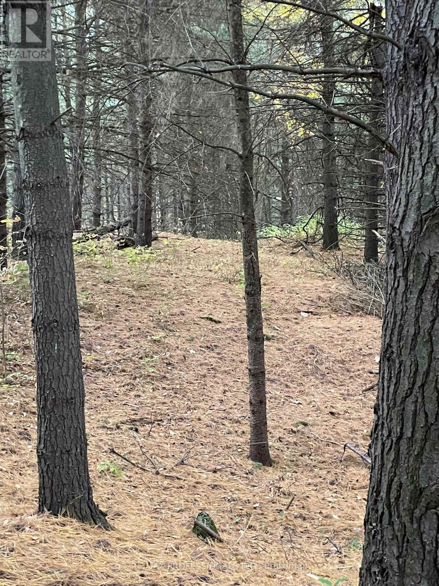 14070 Dublin Line, Halton Hills, Ontario  L7J 2L9 - Photo 24 - W12813896