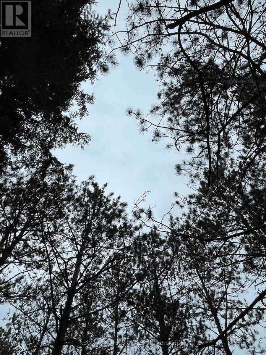 14070 Dublin Line, Halton Hills, Ontario  L7J 2L9 - Photo 26 - W12813896