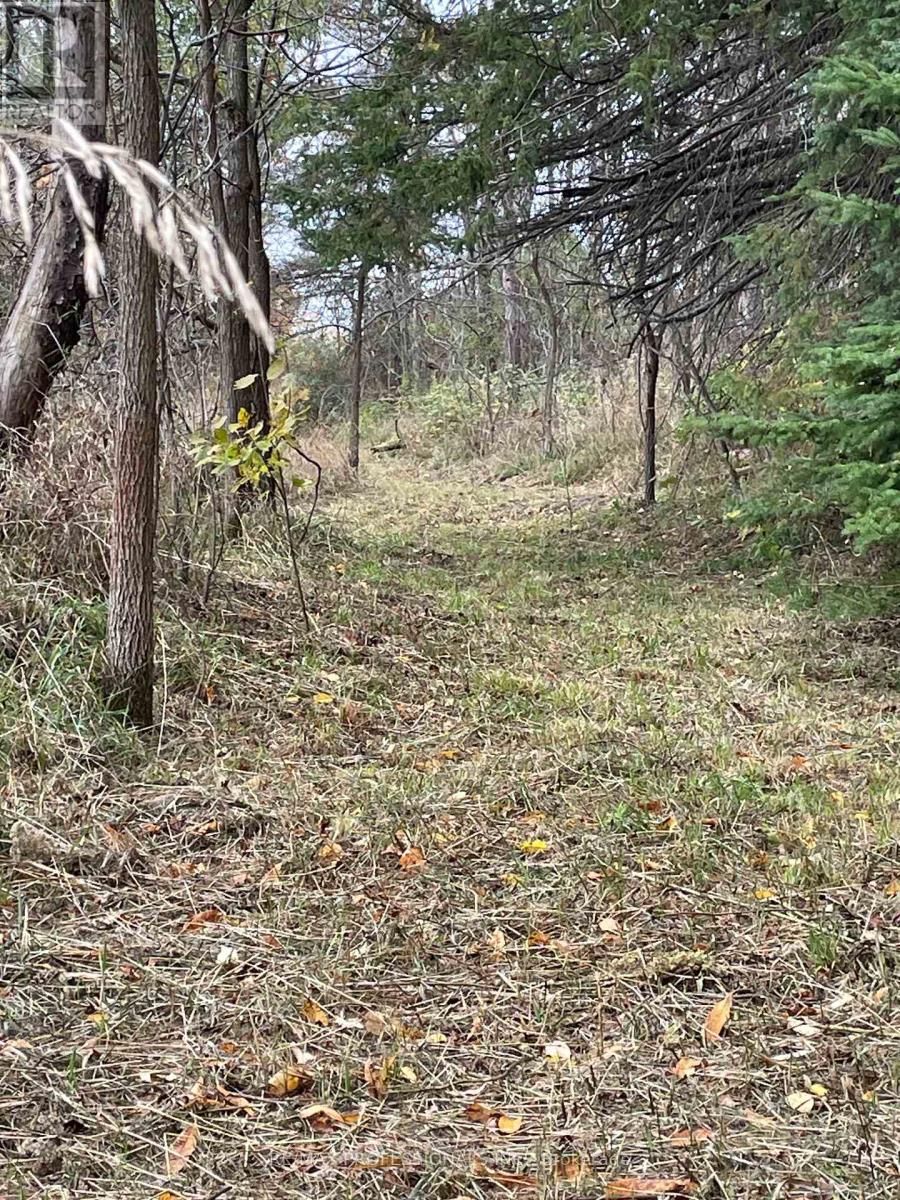 14070 Dublin Line, Halton Hills, Ontario  L7J 2L9 - Photo 28 - W12813896