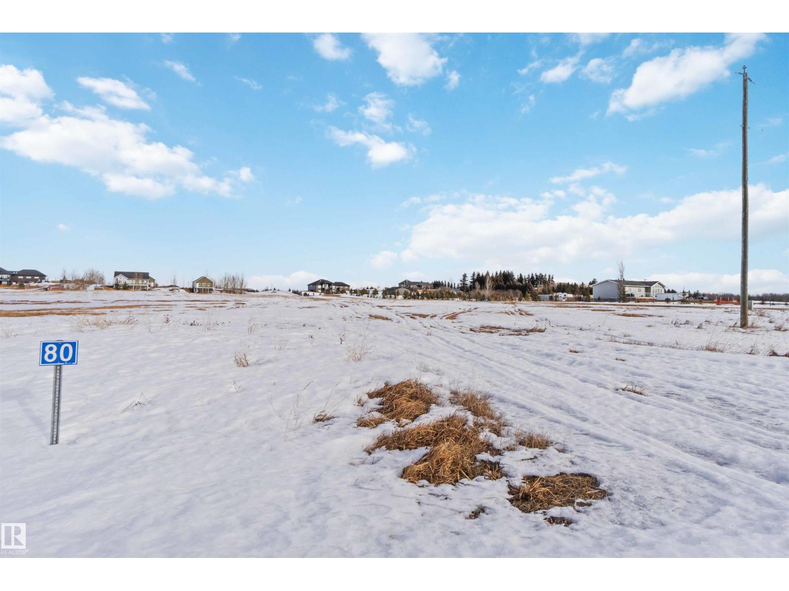 #80 50050 Rge Rd 233, Rural Leduc County, Alberta  T4X 0L2 - Photo 3 - E4473943