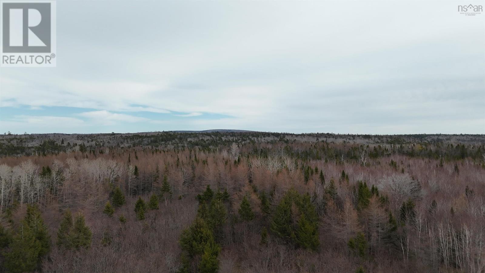 0 Highway 223, Little Narrows, Nova Scotia B0E 1T0 - Photo 5 - 202507691