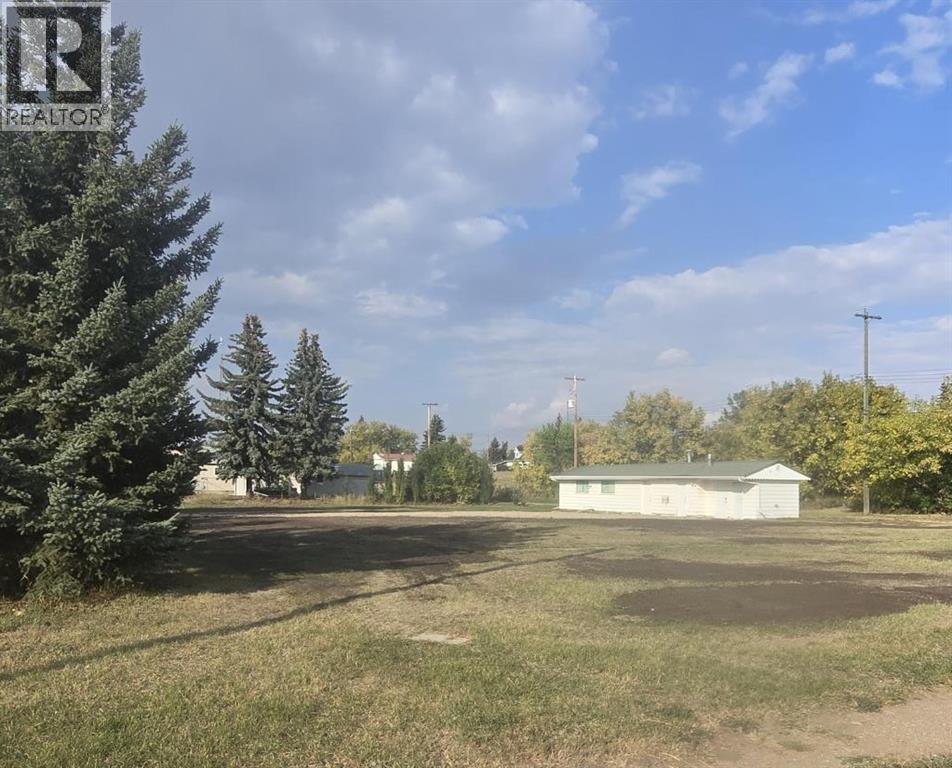 4910 48 Street, Sedgewick, Alberta  T0B 4C0 - Photo 1 - A2256777