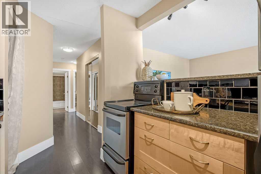404, 2722 17 Avenue Sw, Calgary, Alberta  T3E 0A7 - Photo 9 - A2287028