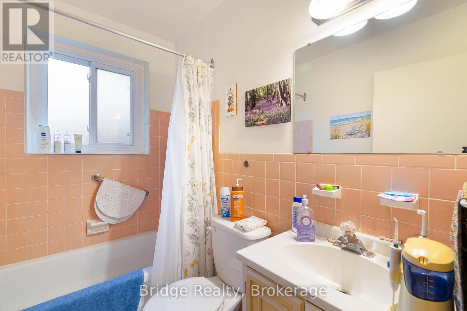 256 Oxford Street, Ingersoll, Ontario  N5C 2W1 - Photo 19 - X12814138