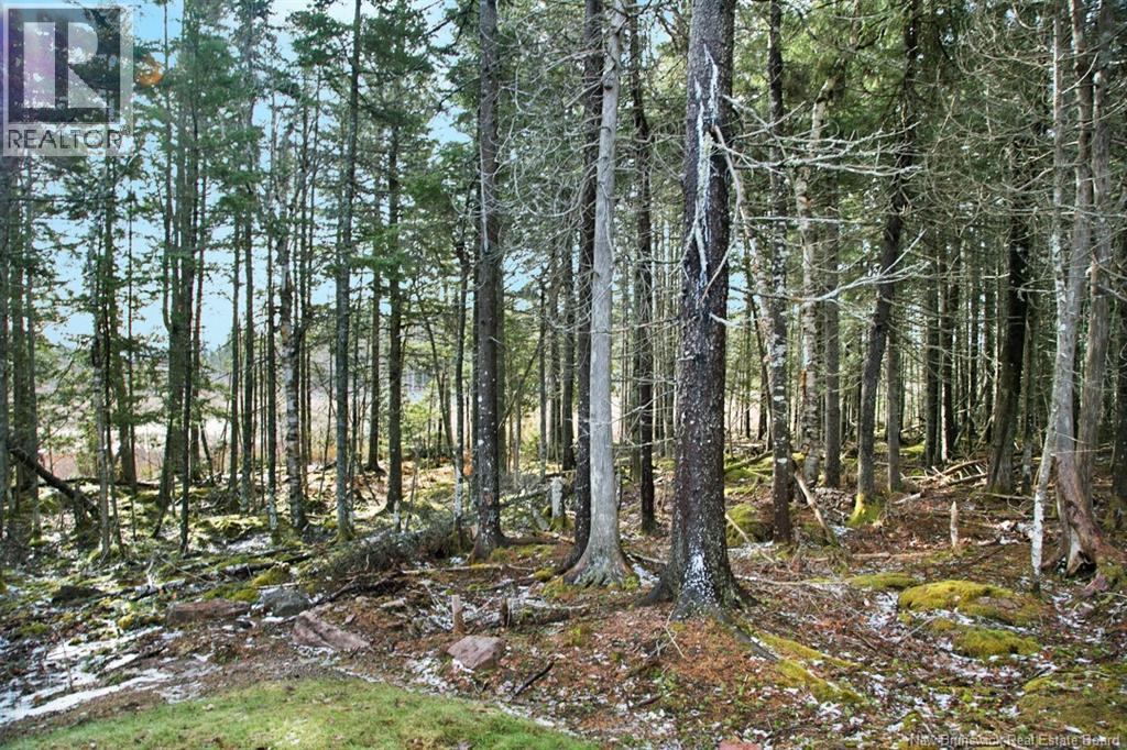 50 Chamberlain Road, Quispamsis, New Brunswick  E2G 1C1 - Photo 45 - NB133454