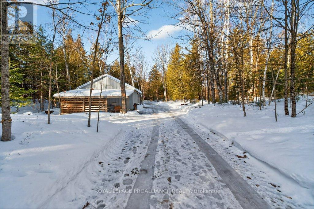 5317 Ardoch Road, Frontenac, Ontario  K0H 1C0 - Photo 47 - X12811448
