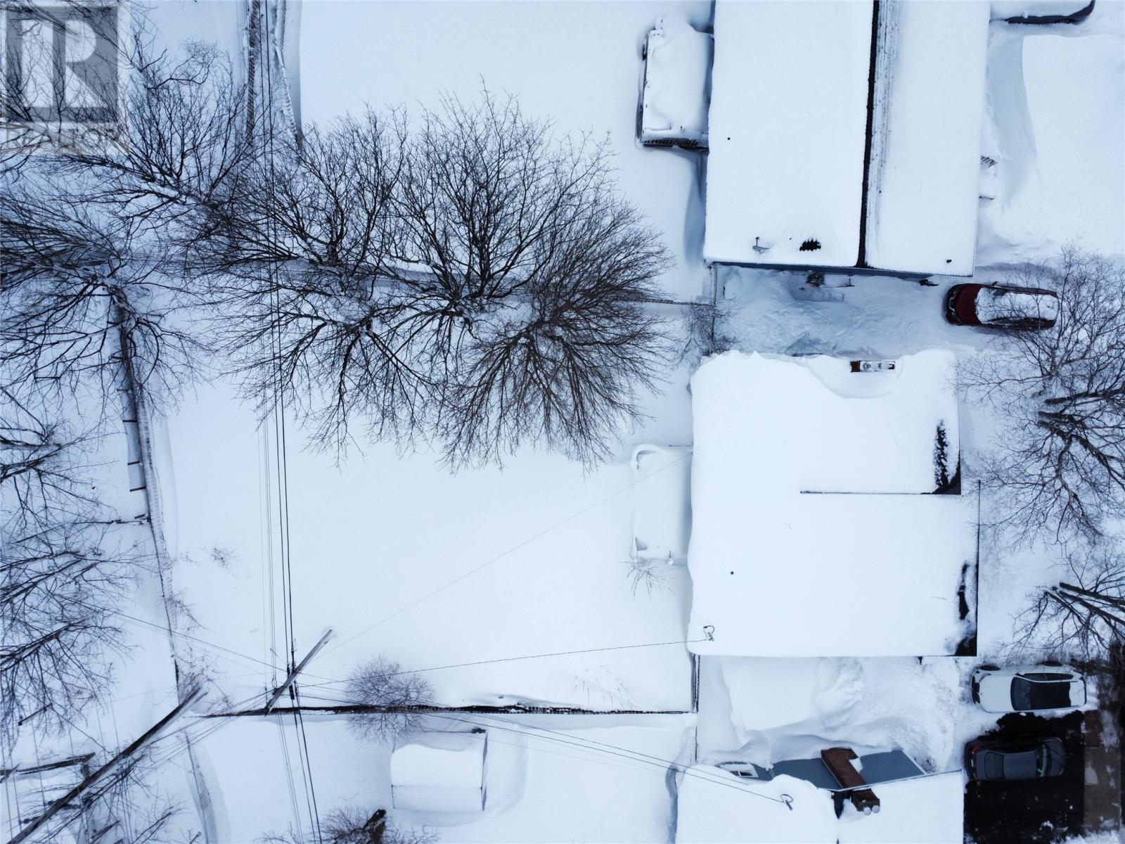 31 Neptune Road, St. John's, Newfoundland & Labrador  A1B 1H4 - Photo 23 - 1294752