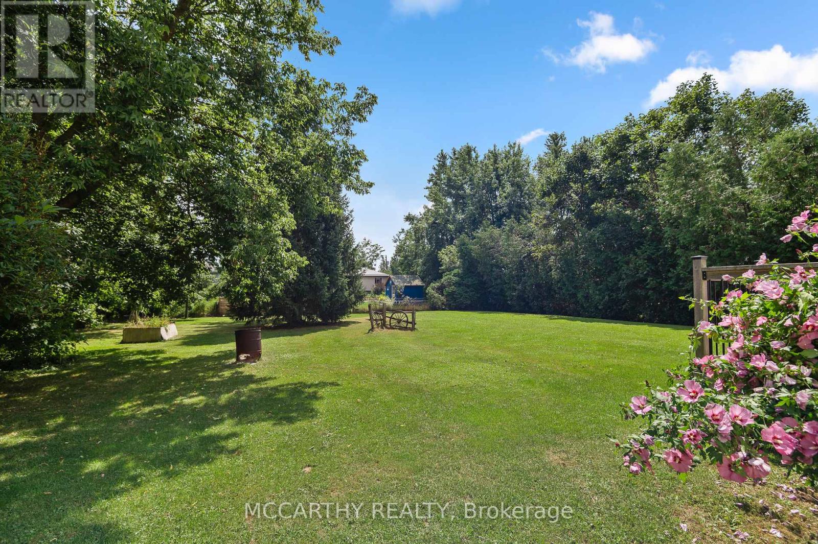 380 Main Street W, Southgate, Ontario  N0C 1B0 - Photo 17 - X12814416