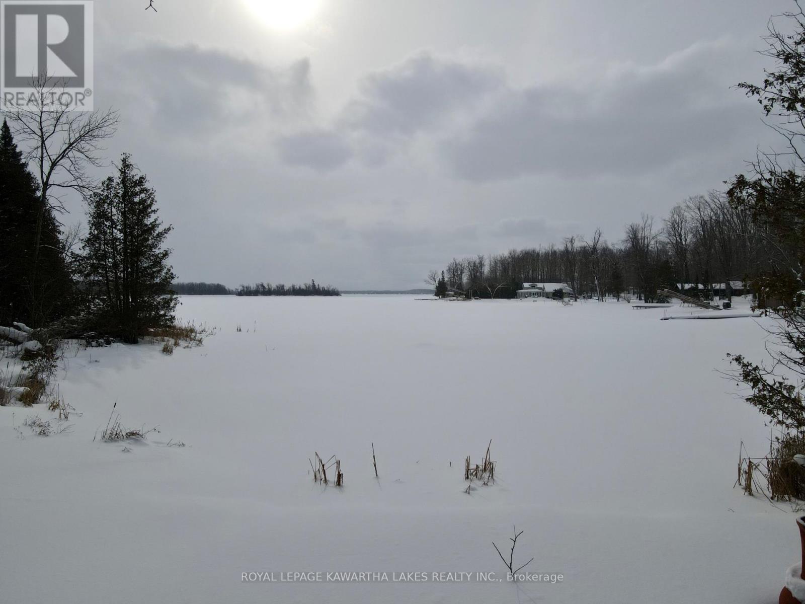 8 Fr 62 Street, Trent Lakes, Ontario K0L 1J0 - Photo 47 - X12814826