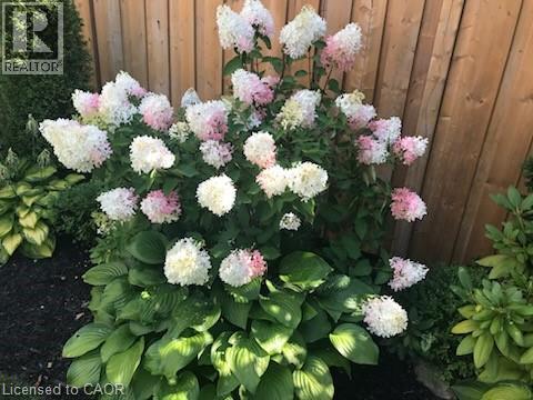 8 Elmore Drive, Hamilton, Ontario  L8W 1T6 - Photo 39 - 40806990