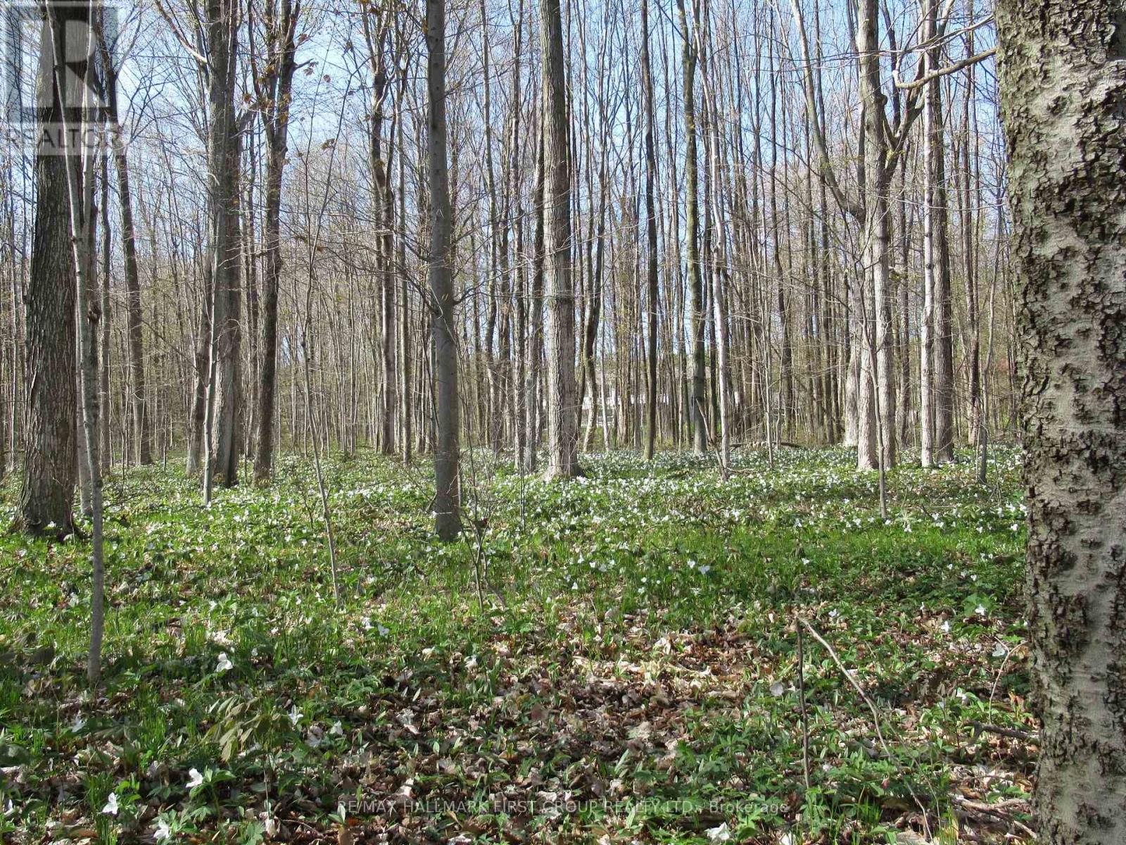 452 Gully Road, Alnwick/haldimand, Ontario  K9A 4J8 - Photo 44 - X12814926