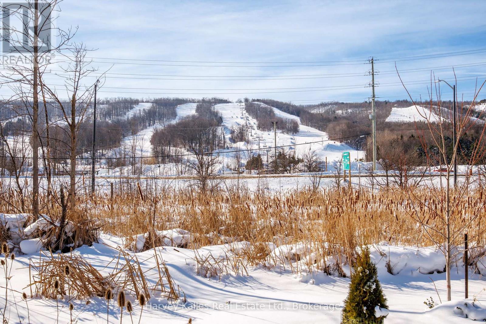 236 Yellow Birch Crescent, Blue Mountains, Ontario L9Y 0Z3 - Photo 34 - X12815148