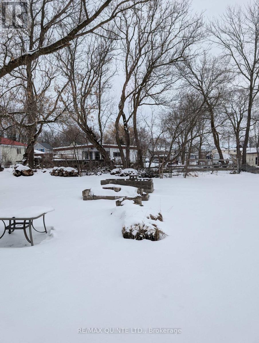 84 College Street, Deseronto, Ontario  K0K 1X0 - Photo 5 - X12815102