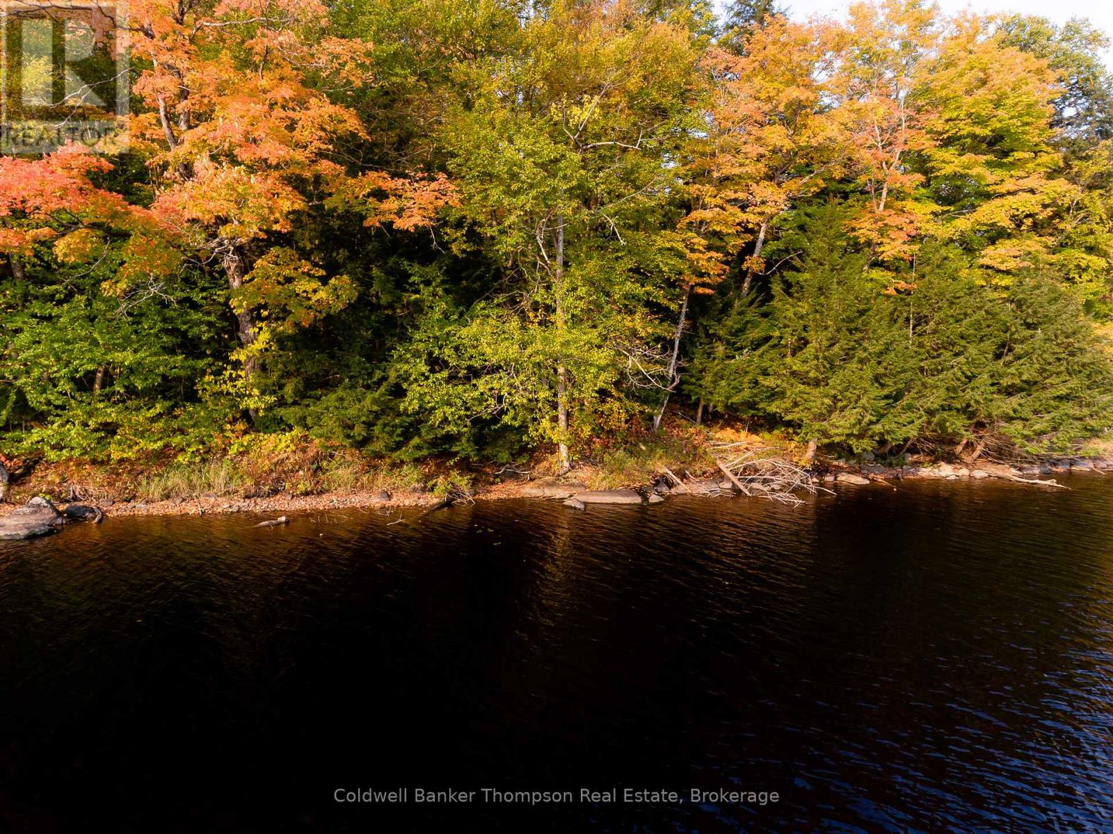 36 Port Vernon Lane, Huntsville, Ontario P1H 2J2 - Photo 14 - X12815214