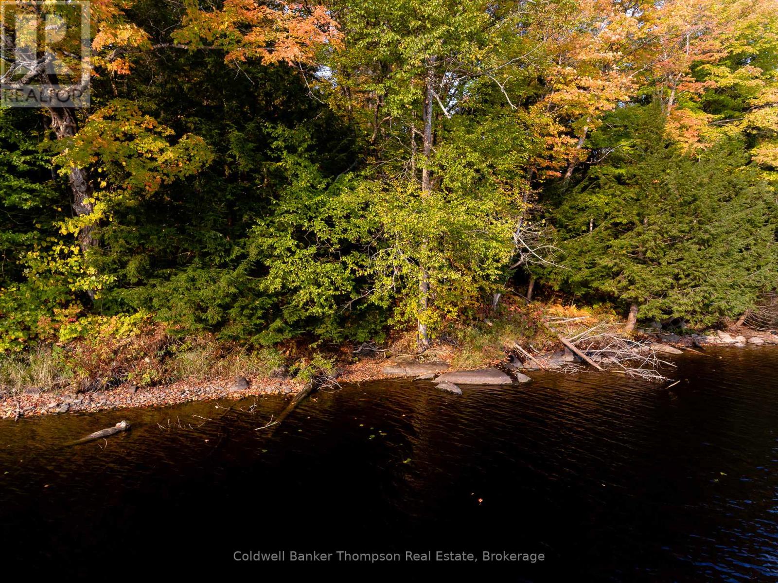 36 Port Vernon Lane, Huntsville, Ontario P1H 2J2 - Photo 15 - X12815214