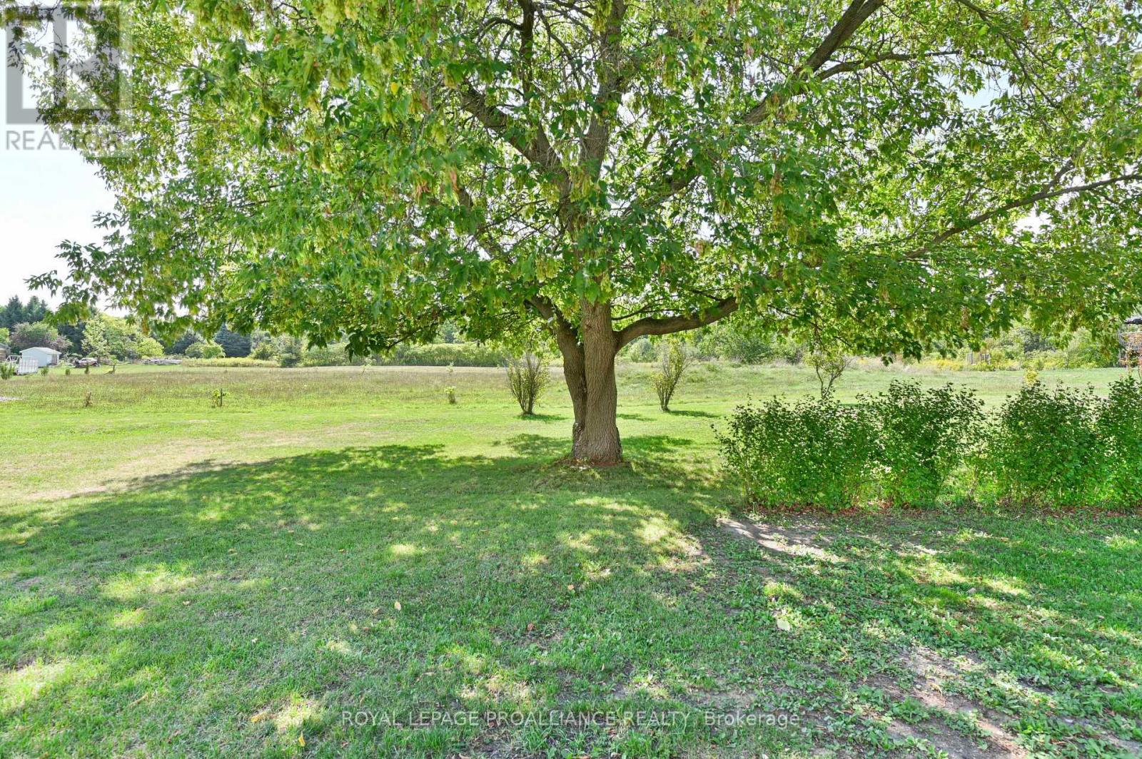 122 Lisgar Street, Brighton, Ontario  K0K 1H0 - Photo 31 - X12815254