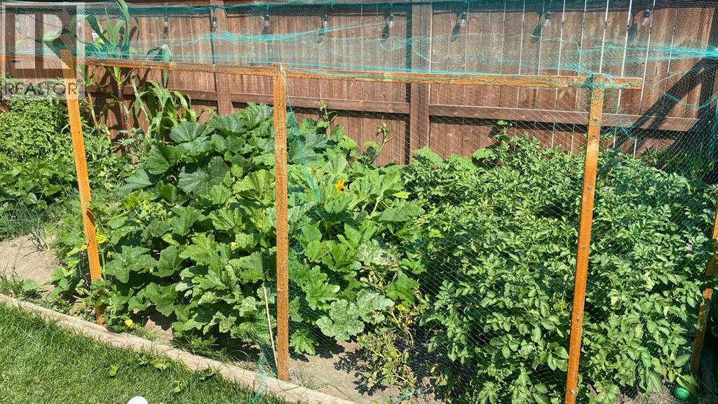 171 Kinniburgh Road, Chestermere, Alberta  T1X 0T8 - Photo 36 - A2283811