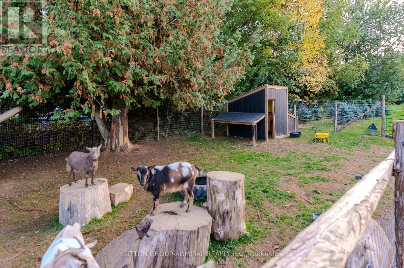 250 Denney Drive, Essa, Ontario  L3W 0T8 - Photo 45 - N12814962