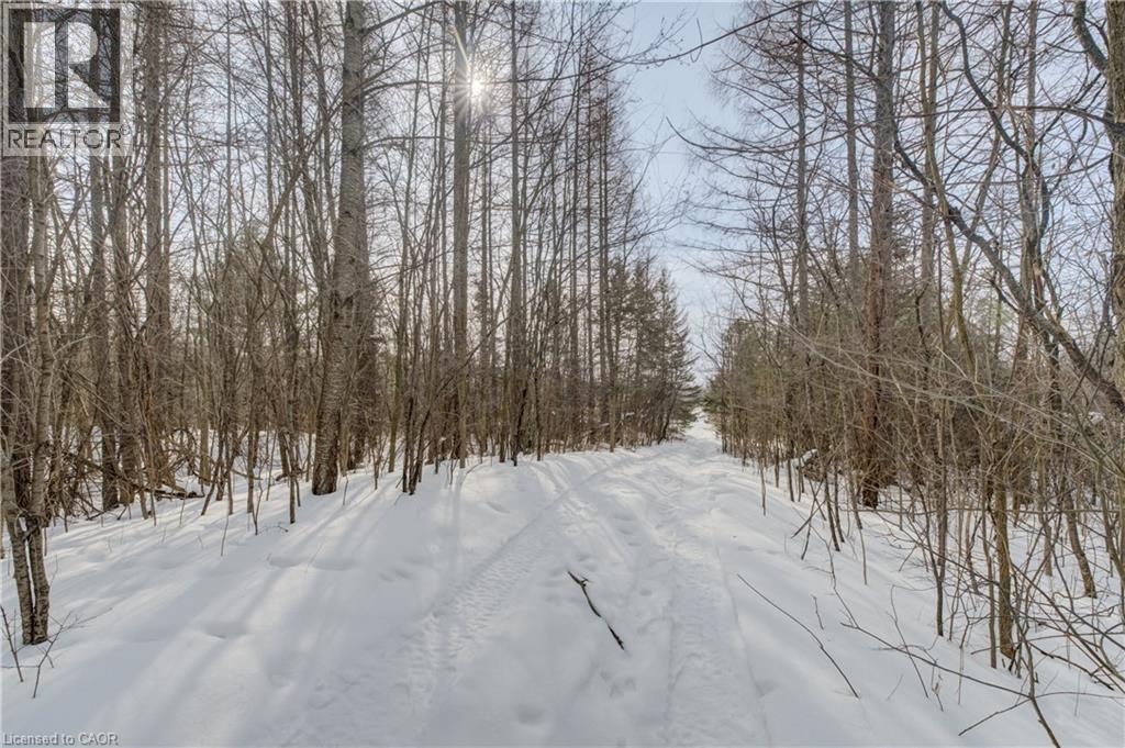 3907 Wellington 35 Road, Puslinch, Ontario  N0B 2J0 - Photo 17 - 40806341