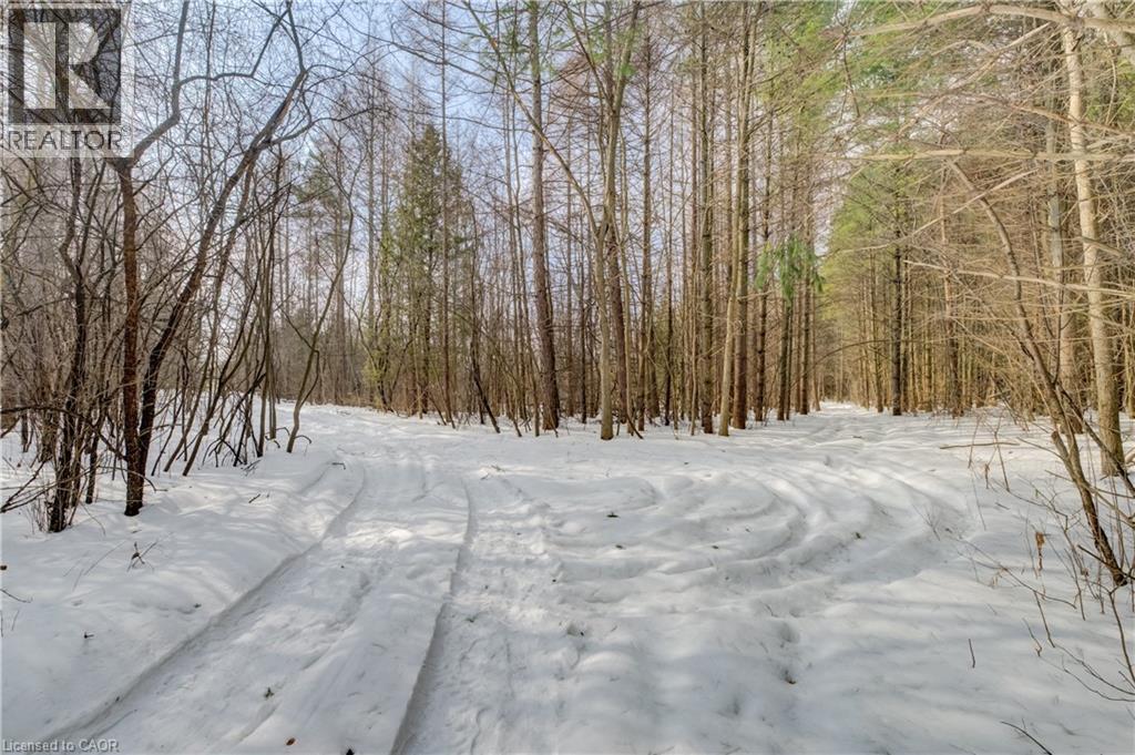 3907 Wellington 35 Road, Puslinch, Ontario  N0B 2J0 - Photo 19 - 40806341