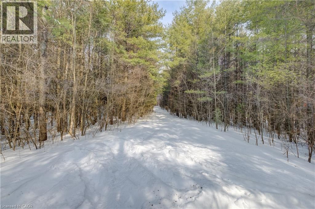 3907 Wellington 35 Road, Puslinch, Ontario  N0B 2J0 - Photo 21 - 40806341