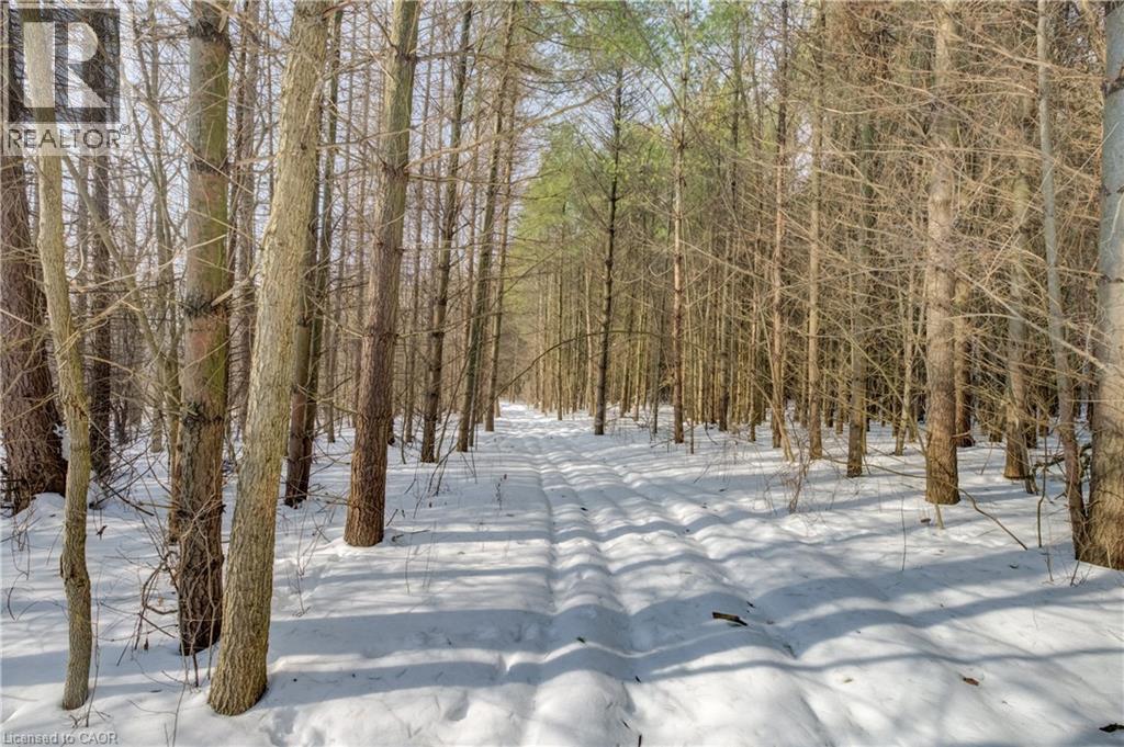 3907 Wellington 35 Road, Puslinch, Ontario  N0B 2J0 - Photo 23 - 40806341